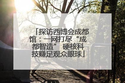 探访西博会成都馆：一网打尽“成都智造” 硬核科技赚足观众眼球